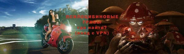 молекула духа Куйбышев