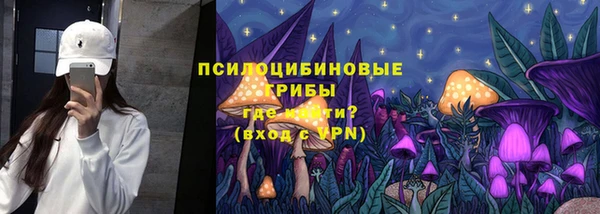 молекула духа Куйбышев